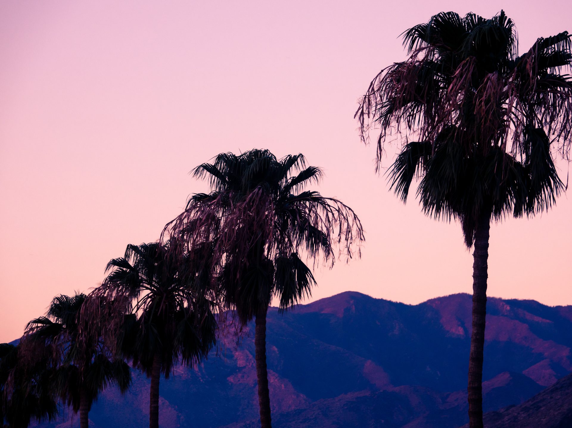 Indio